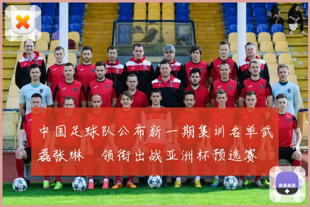 中国足球队公布新一期集训名单武磊张琳芃领衔出战亚洲杯预选赛