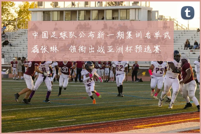 中国足球队公布新一期集训名单武磊张琳芃领衔出战亚洲杯预选赛
