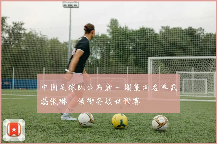 中国足球队公布新一期集训名单武磊张琳芃领衔备战世预赛