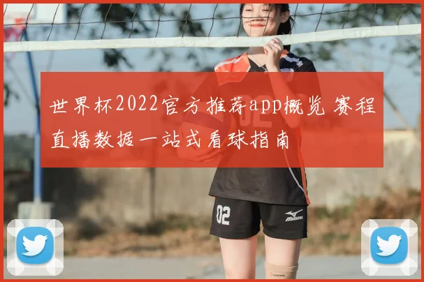 世界杯2022官方推荐app概览 赛程直播数据一站式看球指南