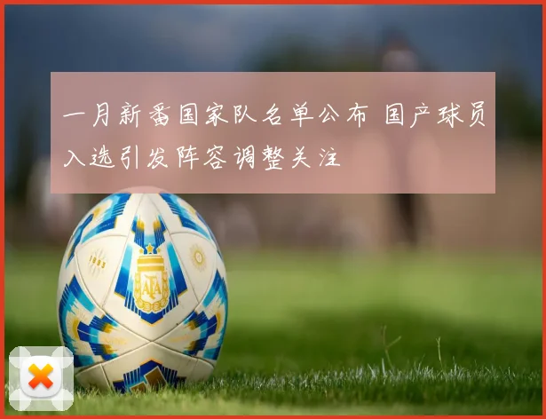 一月新番国家队名单公布 国产球员入选引发阵容调整关注