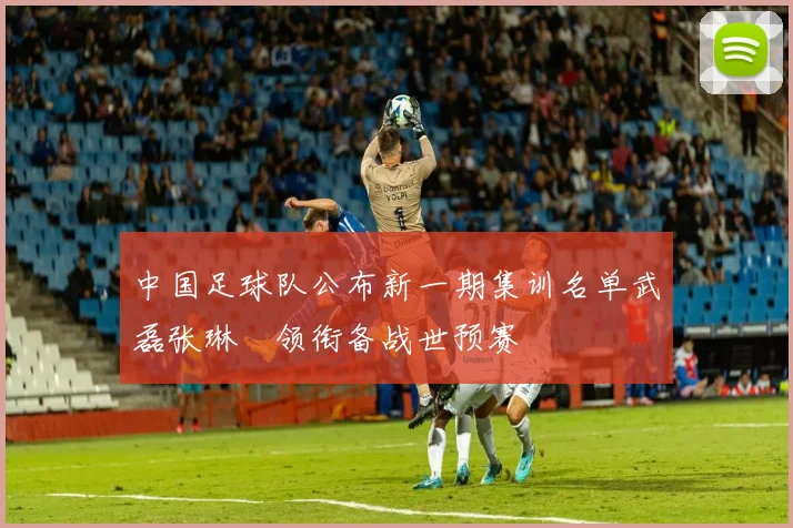 中国足球队公布新一期集训名单武磊张琳芃领衔备战世预赛