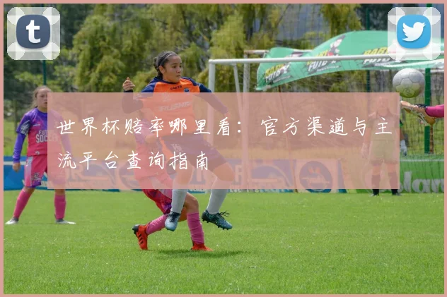 世界杯赔率哪里看:官方渠道与主流平台查询指南