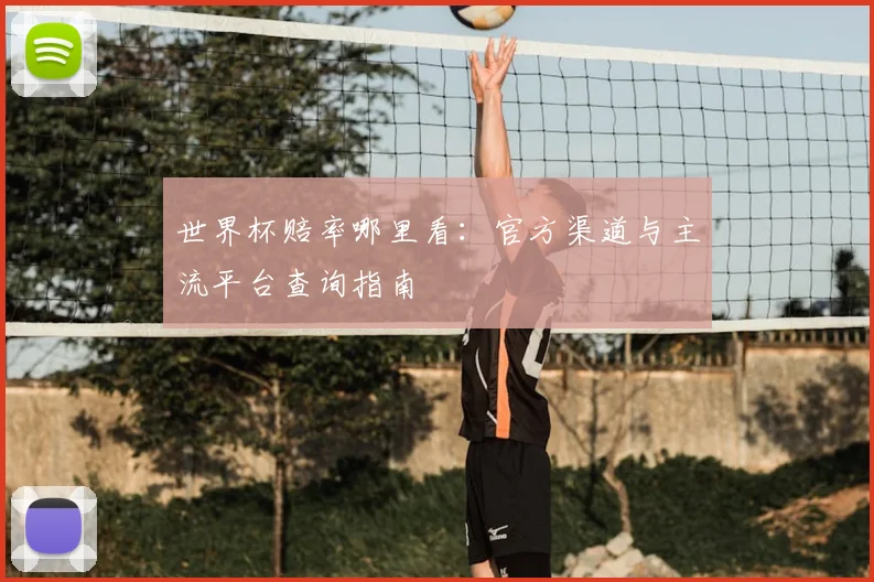 世界杯赔率哪里看:官方渠道与主流平台查询指南