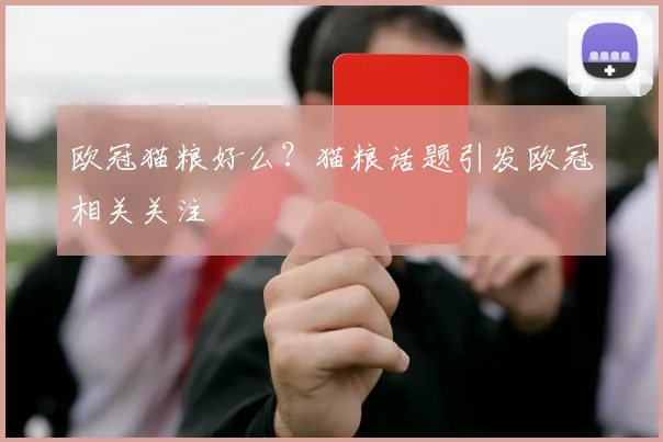 欧冠猫粮好么?猫粮话题引发欧冠相关关注