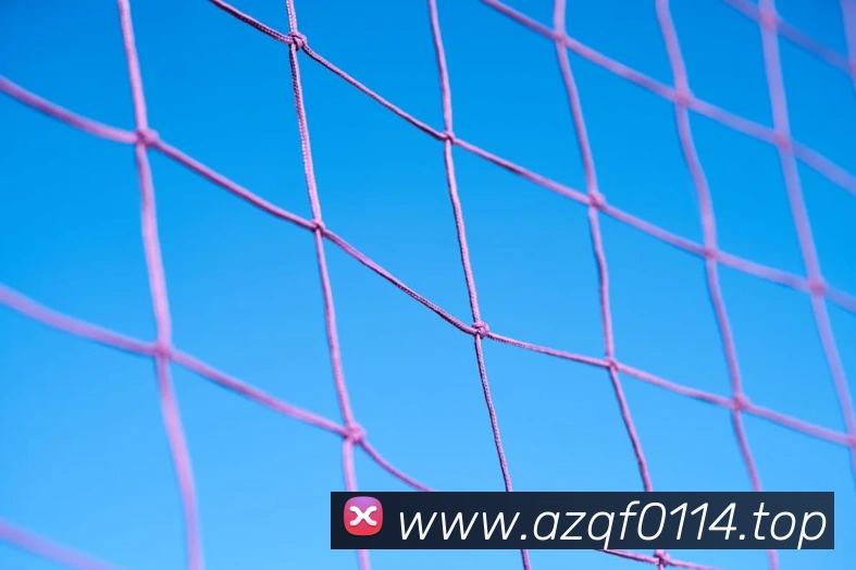 博亚体育app官网入口平台生态图